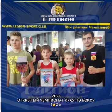 Чемпионат Краснодарского края по Боксу