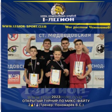 Открытый турнир по MixFight ст.Медведовская