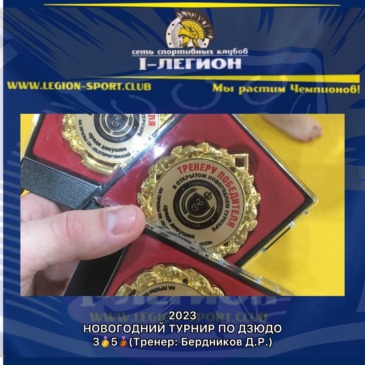 Новогодний турнир по Дзюдо на призы СК «Екатериненский»