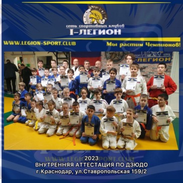 Внутренняя аттестация по Дзюдо