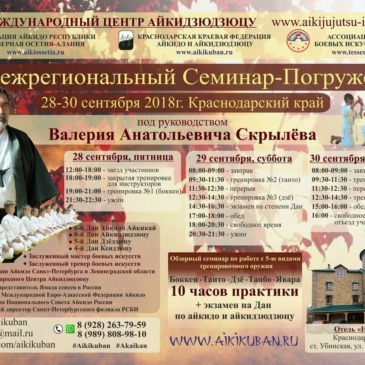 Семинар-погружение по Айкидо (Скрылёв В.А.)